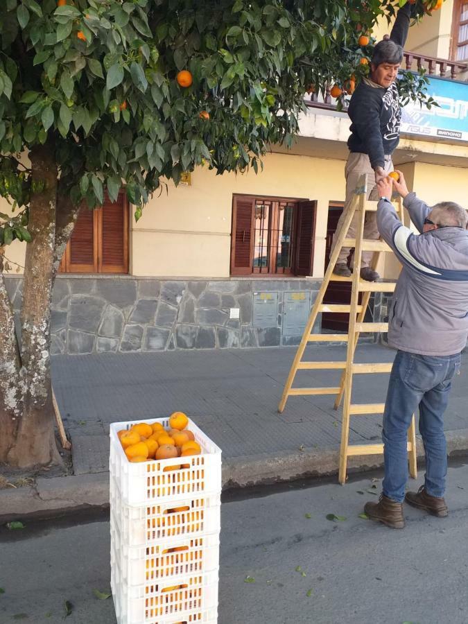 La Francisca Apartamento San Salvador de Jujuy Exterior foto